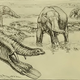 Illustration for article titled The bizarre life forms that cannot be categorized